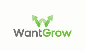 want grow business name logo