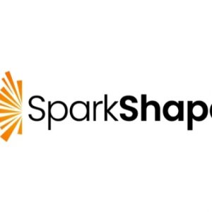 Spark shape business name logo